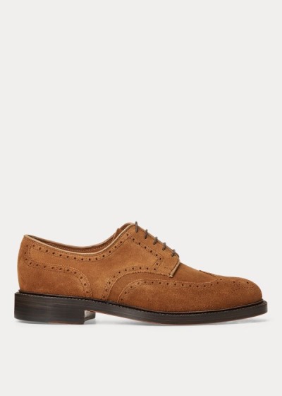 Sapatos Polo Ralph Lauren Brenton Camurça Wingtip Homem 04965-ZAOV